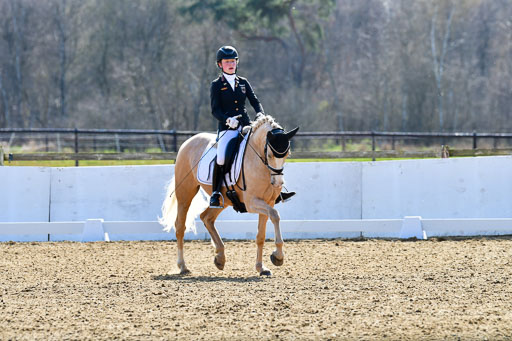 Reitsportzentrum Bremervörde | 160421Dressurpony L_68 