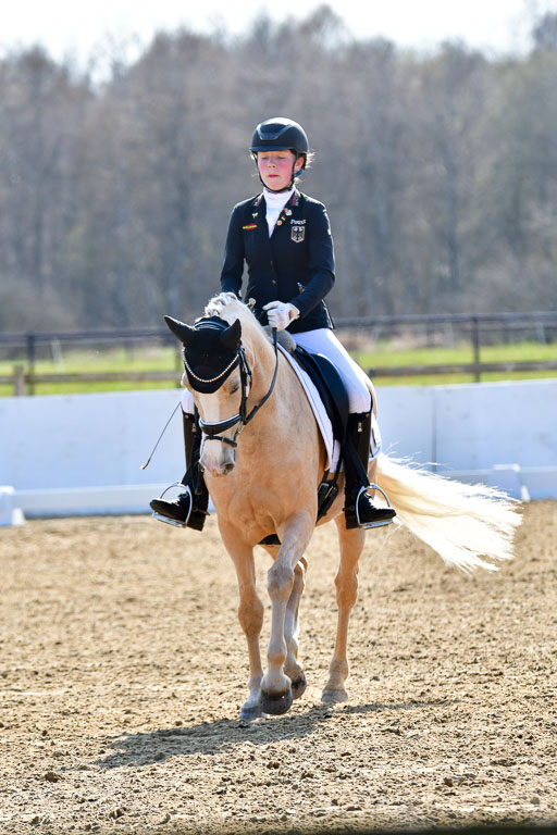 Reitsportzentrum Bremervörde | 160421Dressurpony L_69 