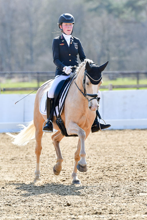 Reitsportzentrum Bremervörde | 160421Dressurpony L_71 