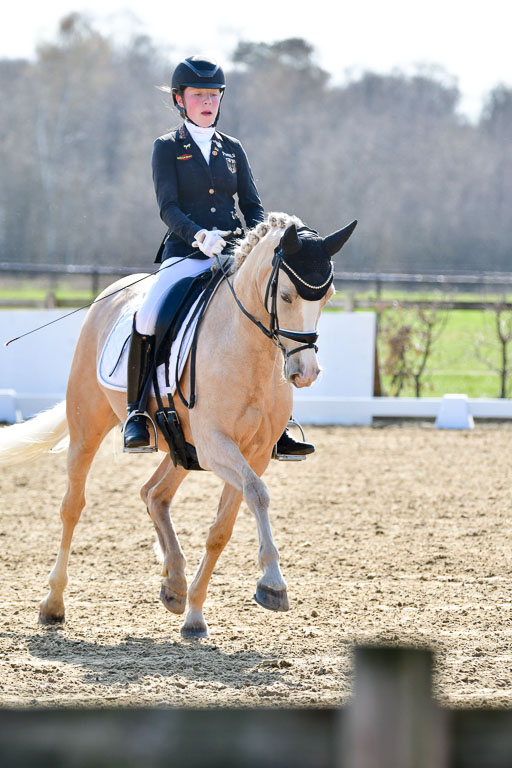 Reitsportzentrum Bremervörde | 160421Dressurpony L_72 