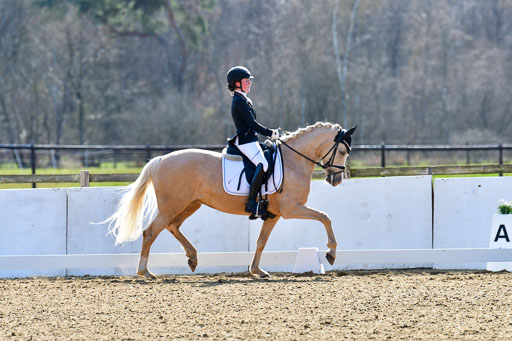 Reitsportzentrum Bremervörde | 160421Dressurpony L_73 