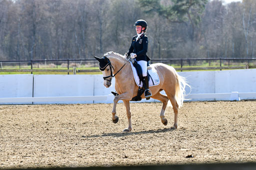 Reitsportzentrum Bremervörde | 160421Dressurpony L_74 