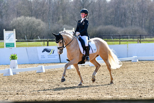 Reitsportzentrum Bremervörde | 160421Dressurpony L_75 