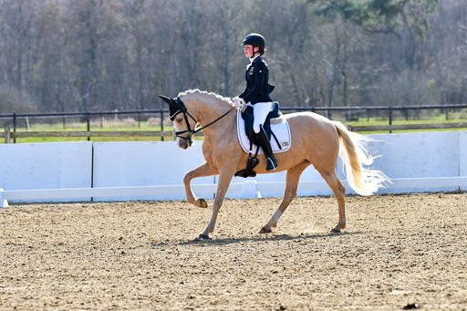 Reitsportzentrum Bremervörde | 160421Dressurpony L_76 