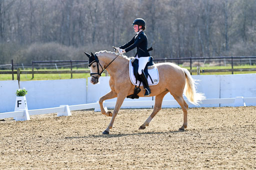 Reitsportzentrum Bremervörde | 160421Dressurpony L_77 