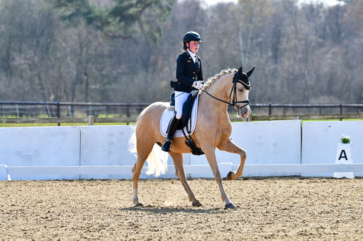 Reitsportzentrum Bremervörde | 160421Dressurpony L_78 