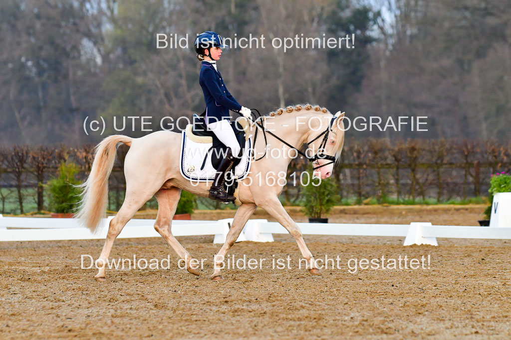 Reitsportzentrum Bremervörde | 170421 Dressurreiter A_008