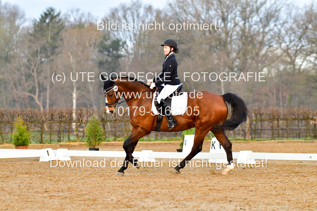 Reitsportzentrum Bremervörde | 170421 Dressurreiter A_017