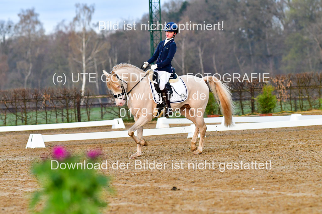 Reitsportzentrum Bremervörde | 170421 Dressurreiter A_025