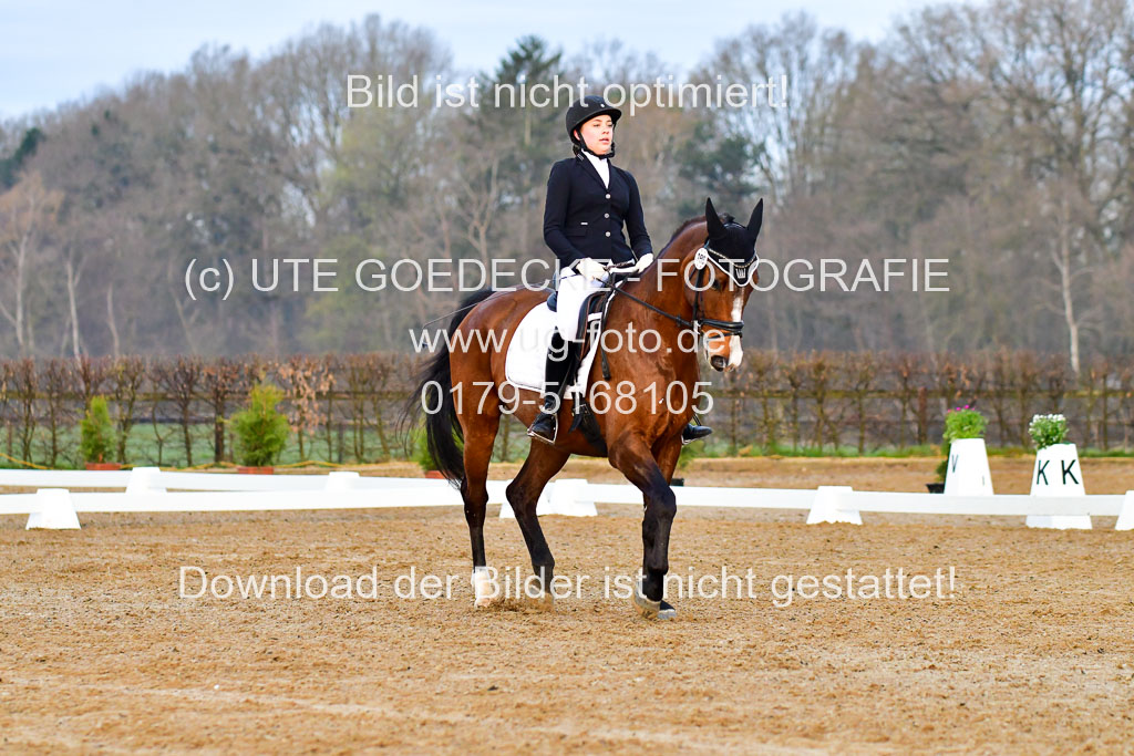 Reitsportzentrum Bremervörde | 170421 Dressurreiter A_027