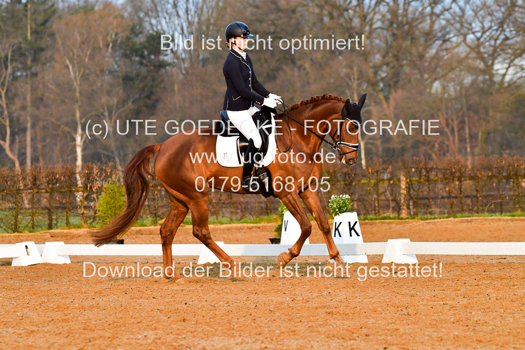 Reitsportzentrum Bremervörde | 170421 Dressurreiter A_042