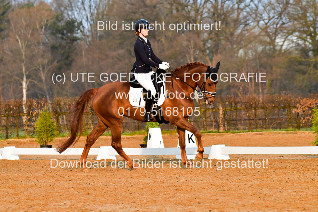 Reitsportzentrum Bremervörde | 170421 Dressurreiter A_043