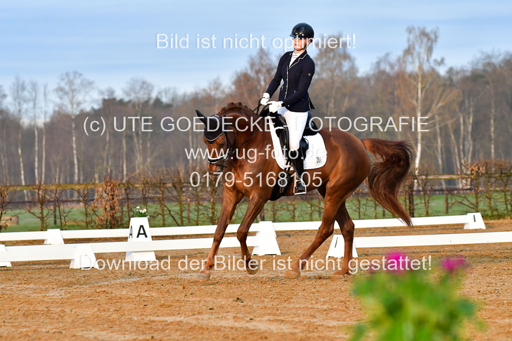 Reitsportzentrum Bremervörde | 170421 Dressurreiter A_047