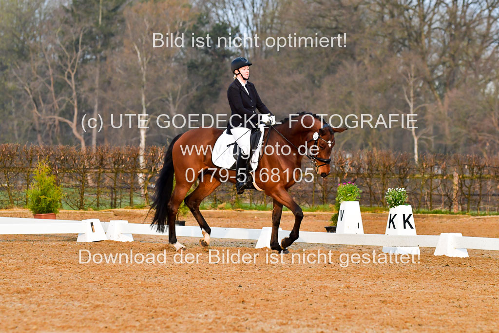 Reitsportzentrum Bremervörde | 170421 Dressurreiter A_053
