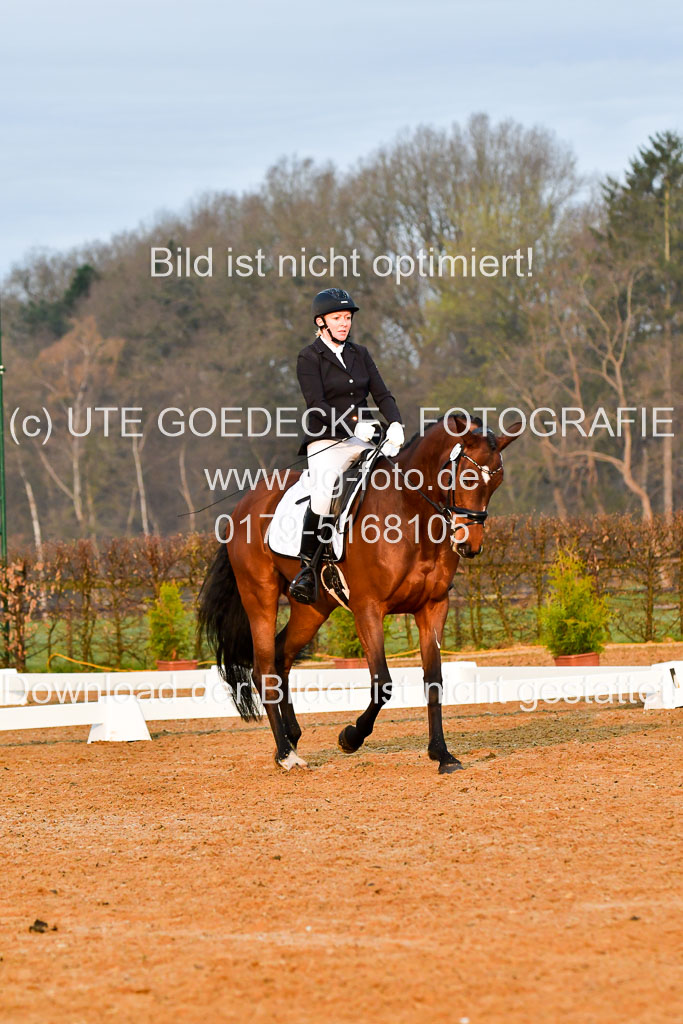 Reitsportzentrum Bremervörde | 170421 Dressurreiter A_056