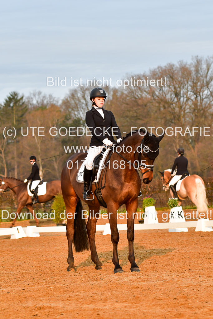 Reitsportzentrum Bremervörde | 170421 Dressurreiter A_057