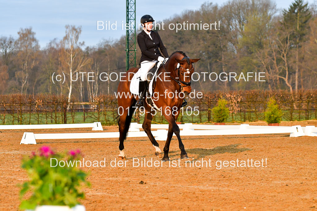Reitsportzentrum Bremervörde | 170421 Dressurreiter A_060