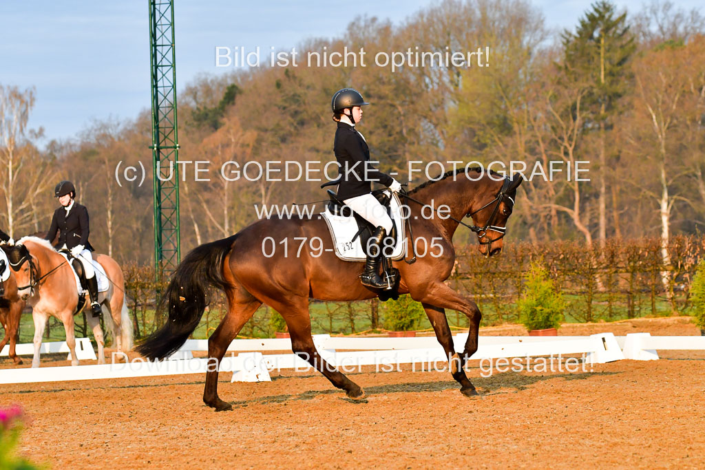 Reitsportzentrum Bremervörde | 170421 Dressurreiter A_061