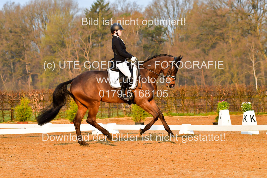 Reitsportzentrum Bremervörde | 170421 Dressurreiter A_062