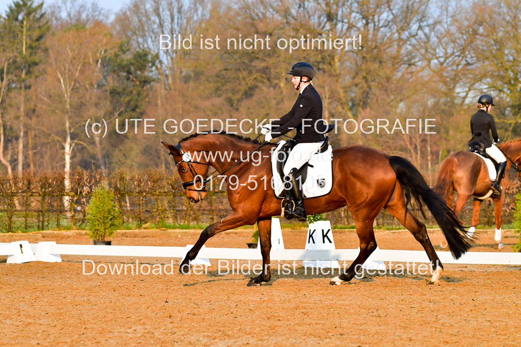 Reitsportzentrum Bremervörde | 170421 Dressurreiter A_069