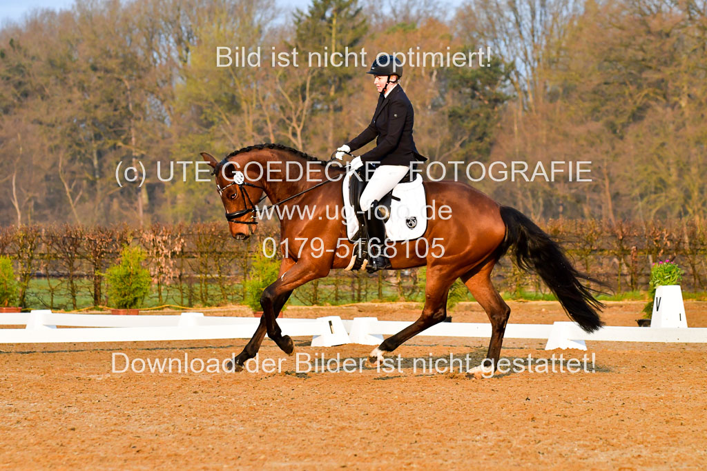 Reitsportzentrum Bremervörde | 170421 Dressurreiter A_070