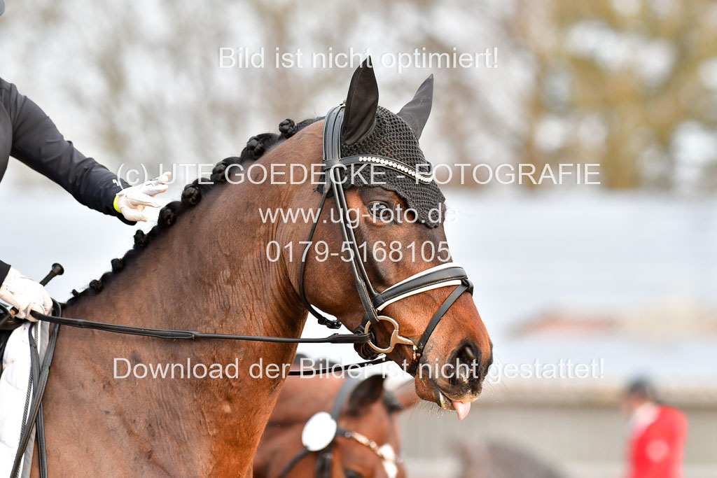 Reitsportzentrum Bremervörde | 170421 Dressurreiter A_077