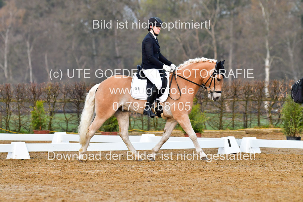 Reitsportzentrum Bremervörde | 170421 Dressurreiter A_078