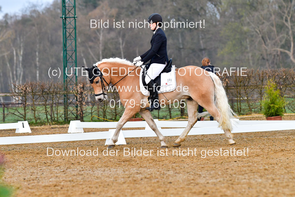Reitsportzentrum Bremervörde | 170421 Dressurreiter A_081