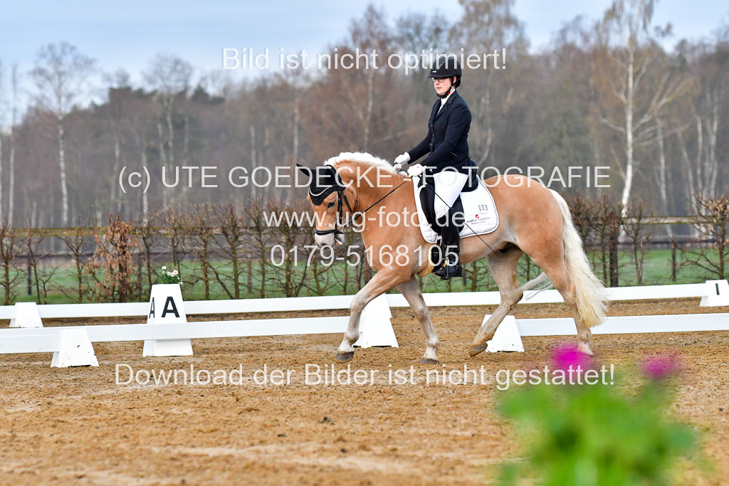 Reitsportzentrum Bremervörde | 170421 Dressurreiter A_082