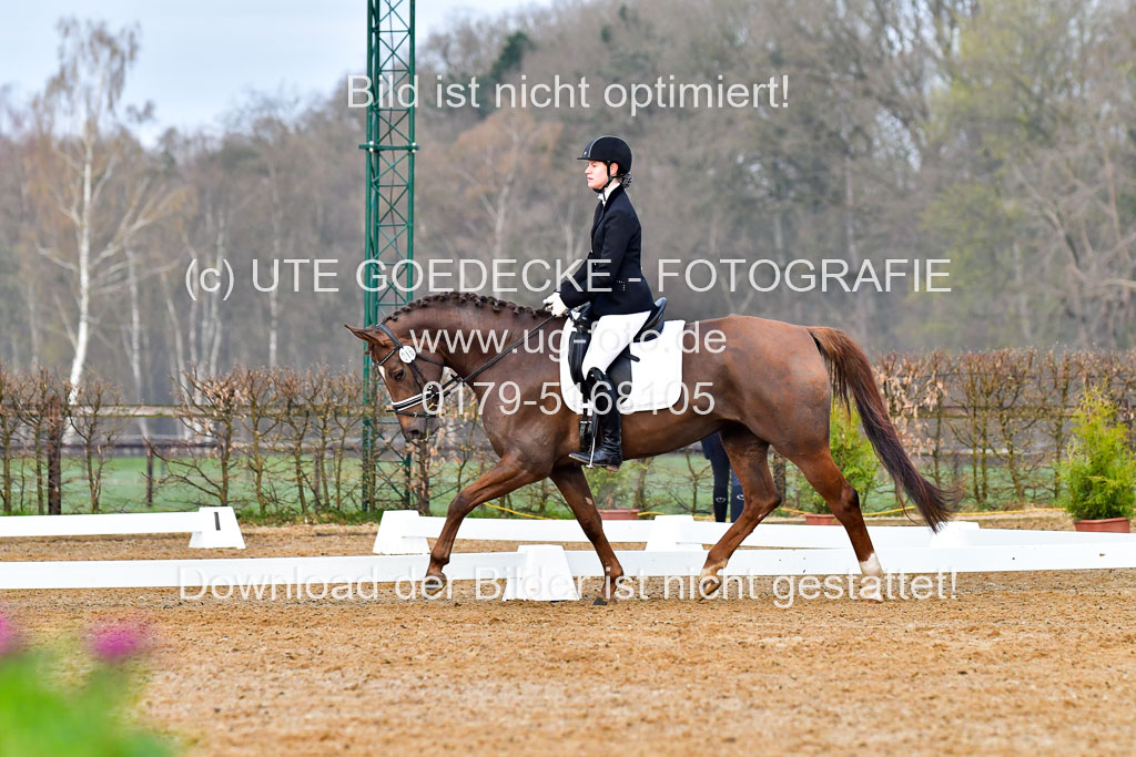 Reitsportzentrum Bremervörde | 170421 Dressurreiter A_083