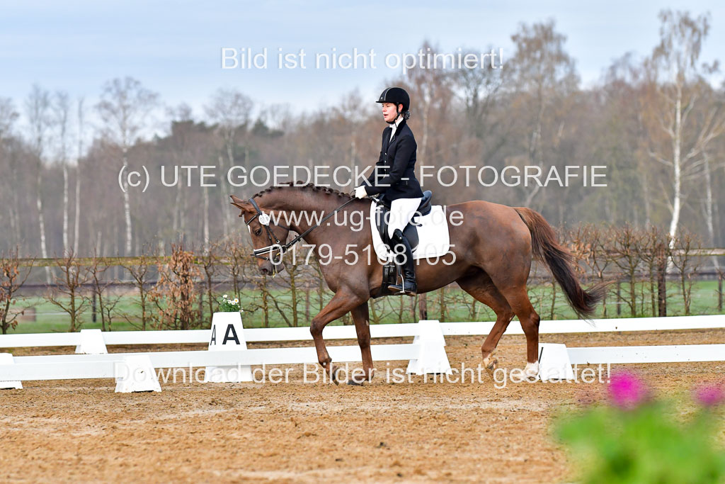 Reitsportzentrum Bremervörde | 170421 Dressurreiter A_085