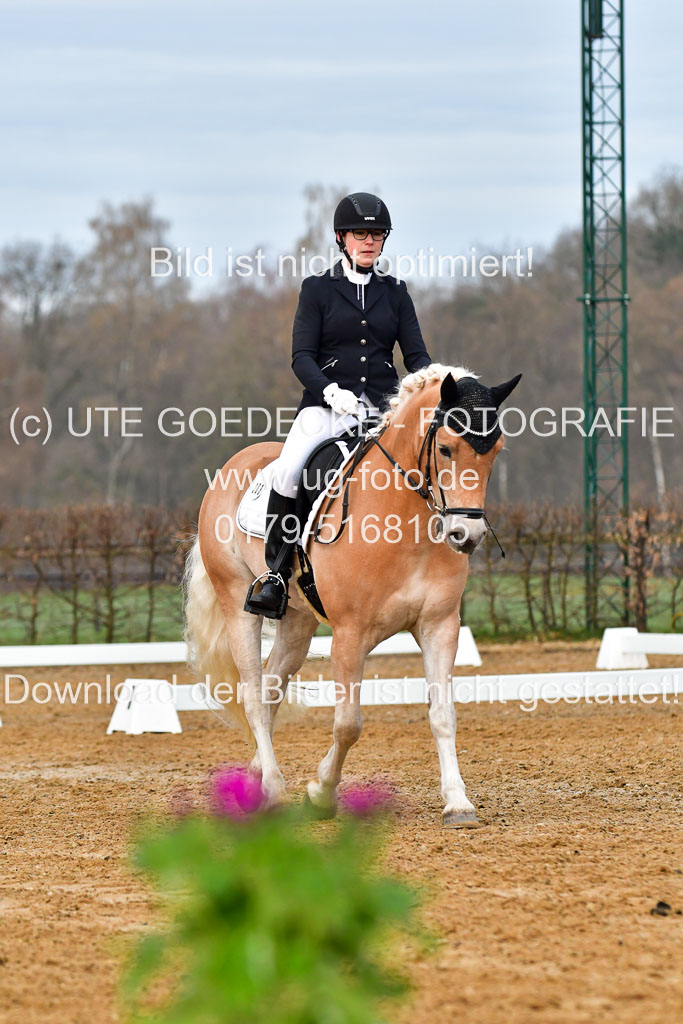 Reitsportzentrum Bremervörde | 170421 Dressurreiter A_087