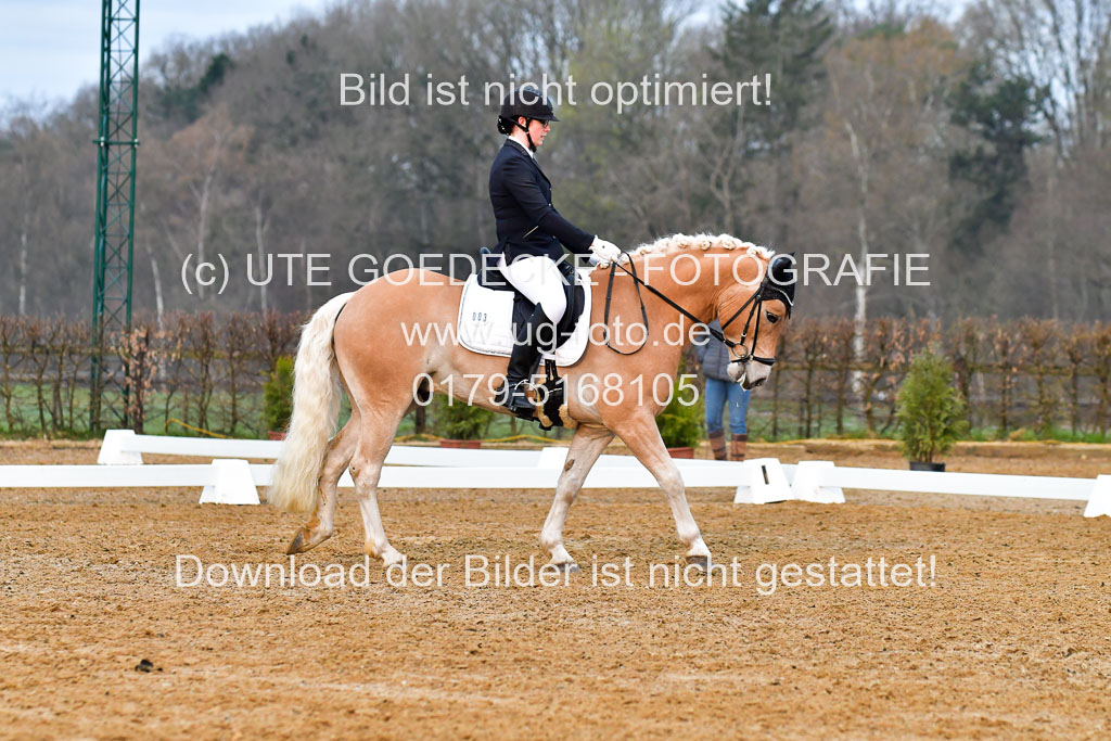 Reitsportzentrum Bremervörde | 170421 Dressurreiter A_094