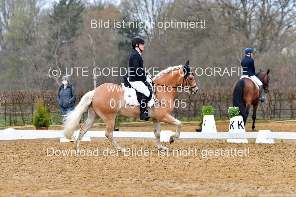Reitsportzentrum Bremervörde | 170421 Dressurreiter A_097