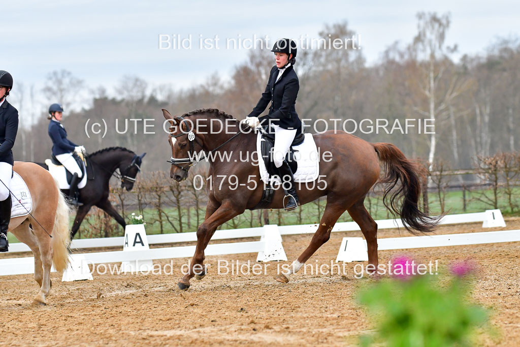 Reitsportzentrum Bremervörde | 170421 Dressurreiter A_111 