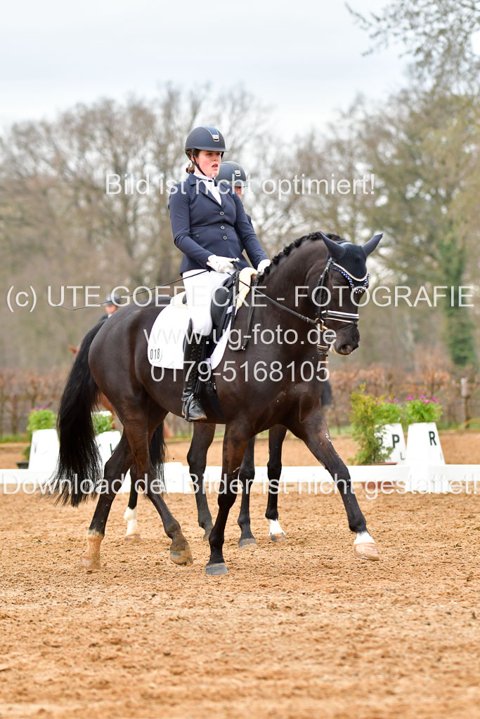 Reitsportzentrum Bremervörde | 170421 Dressurreiter A_133 
