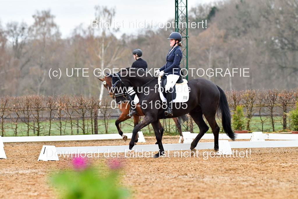 Reitsportzentrum Bremervörde | 170421 Dressurreiter A_136 