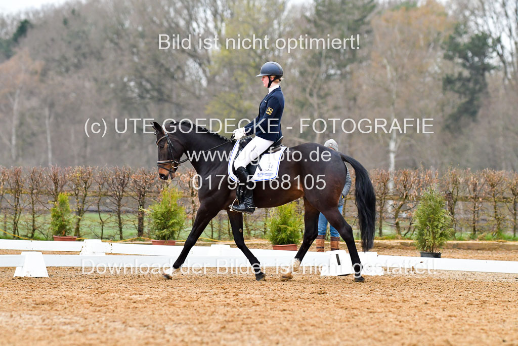 Reitsportzentrum Bremervörde | 170421 Dressurreiter A_137