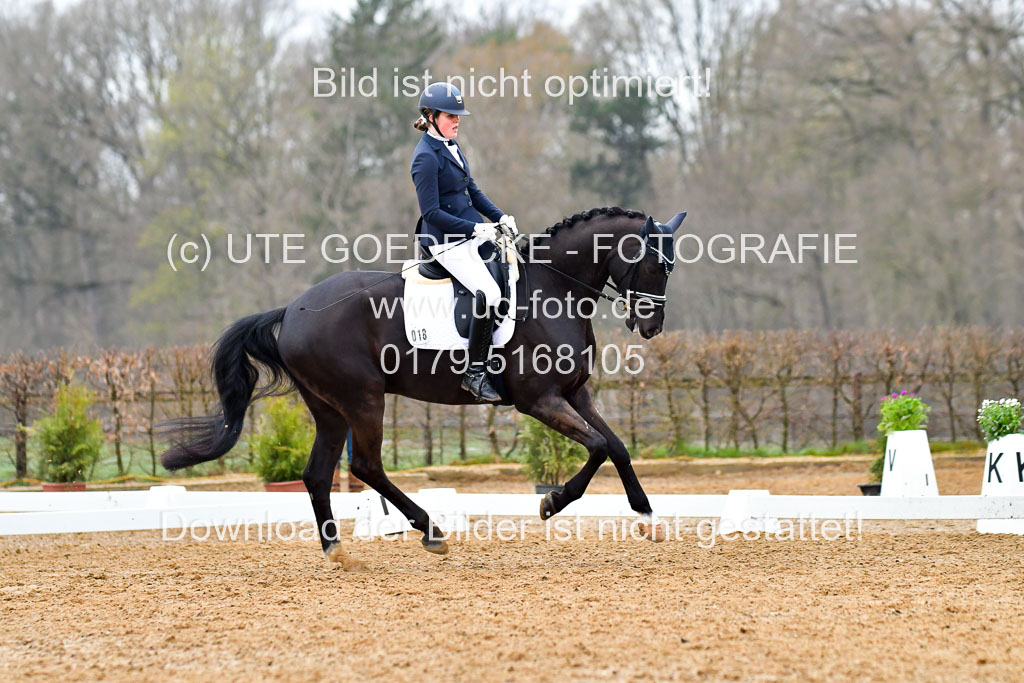 Reitsportzentrum Bremervörde | 170421 Dressurreiter A_139 