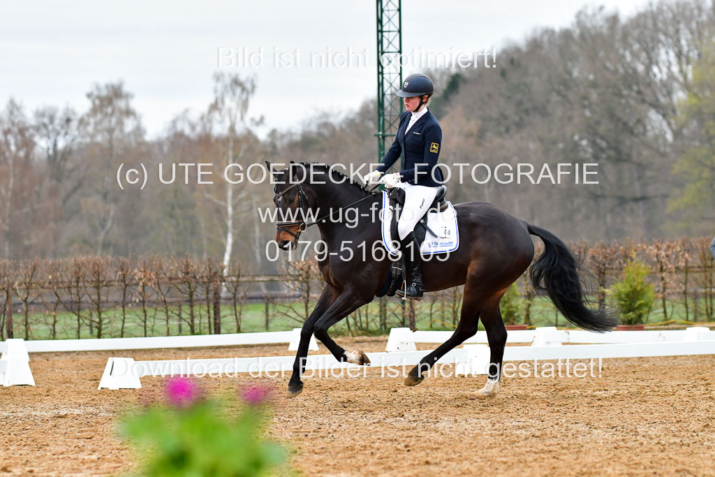 Reitsportzentrum Bremervörde | 170421 Dressurreiter A_146