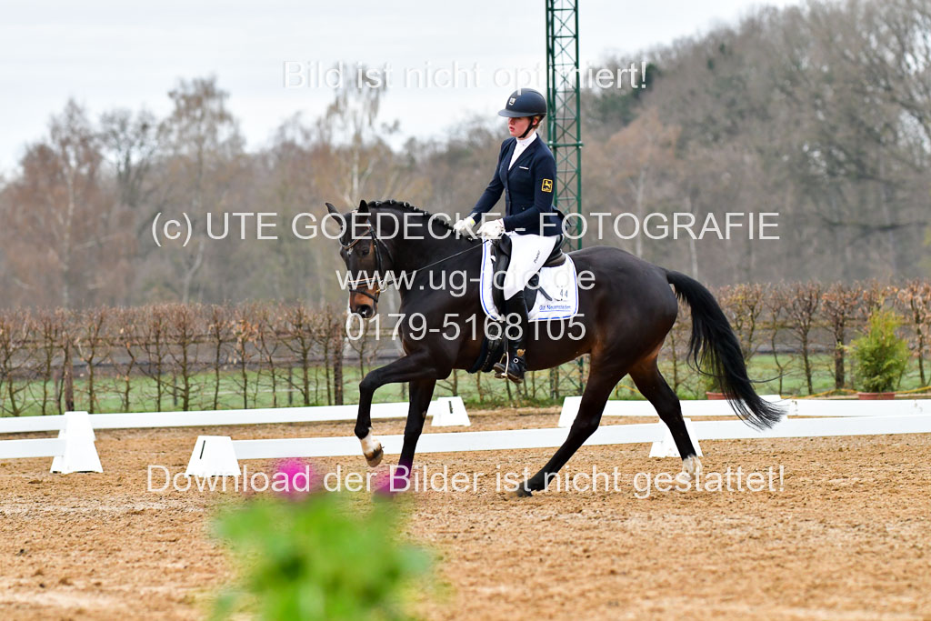 Reitsportzentrum Bremervörde | 170421 Dressurreiter A_147 