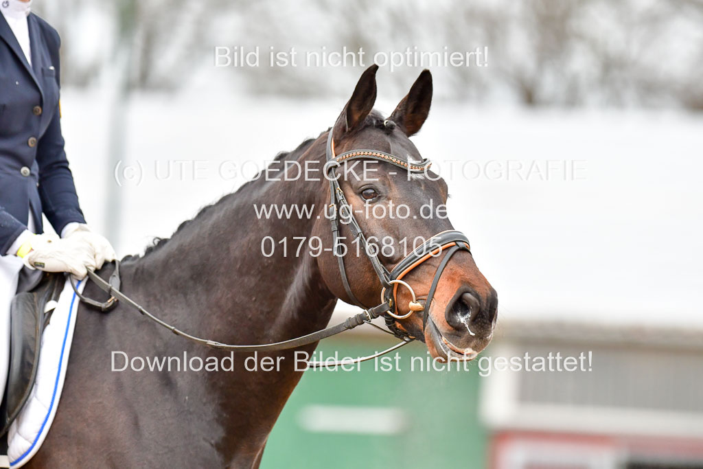 Reitsportzentrum Bremervörde | 170421 Dressurreiter A_157