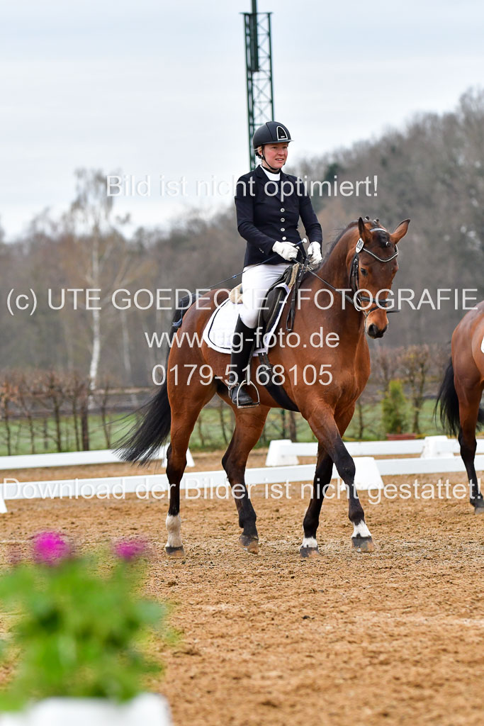 Reitsportzentrum Bremervörde | 170421 Dressurreiter A_160 