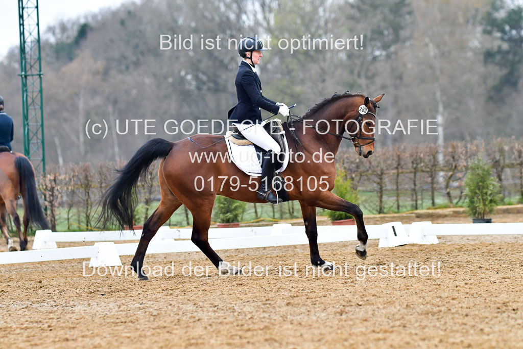 Reitsportzentrum Bremervörde | 170421 Dressurreiter A_164