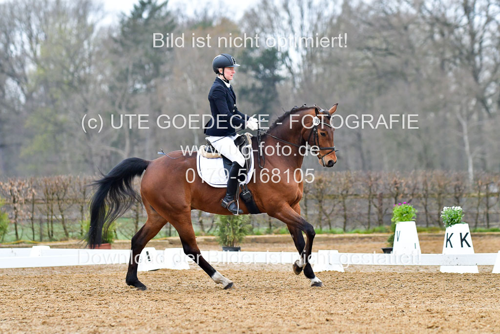 Reitsportzentrum Bremervörde | 170421 Dressurreiter A_165