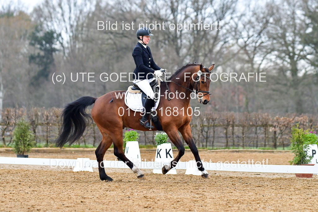 Reitsportzentrum Bremervörde | 170421 Dressurreiter A_166 