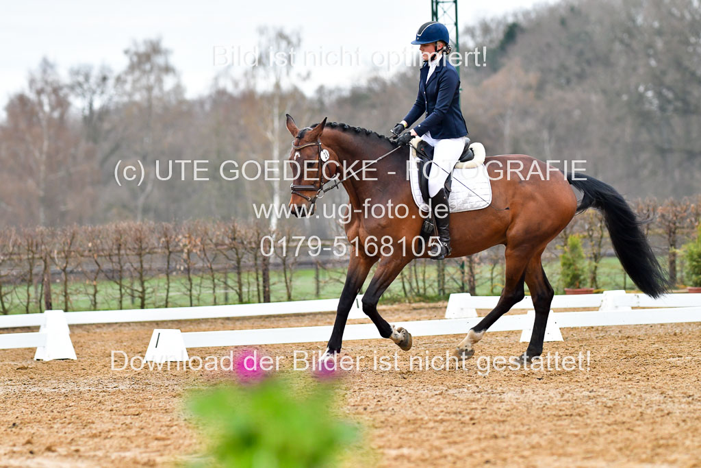 Reitsportzentrum Bremervörde | 170421 Dressurreiter A_169 