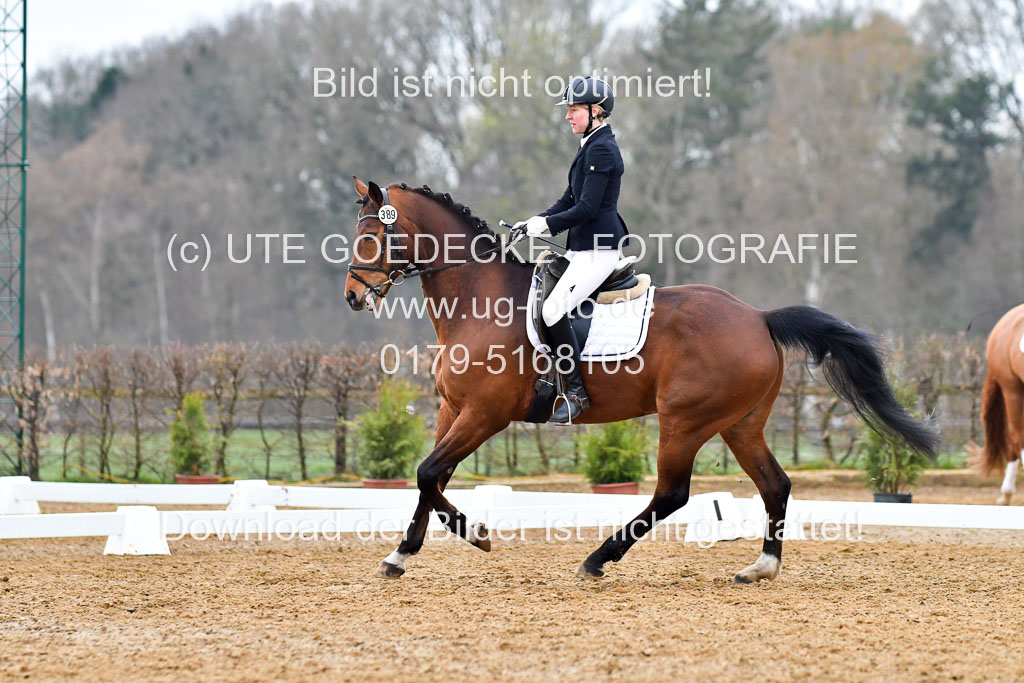 Reitsportzentrum Bremervörde | 170421 Dressurreiter A_170 