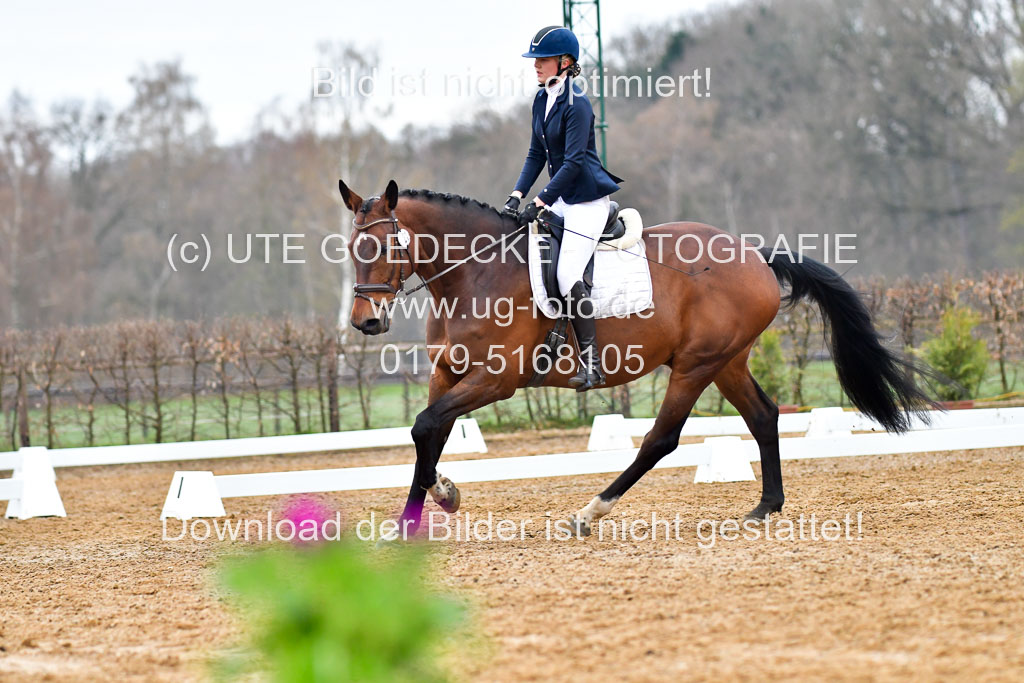 Reitsportzentrum Bremervörde | 170421 Dressurreiter A_173 