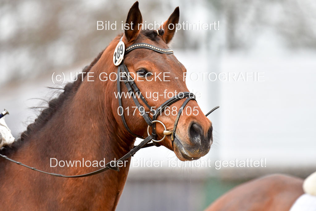 Reitsportzentrum Bremervörde | 170421 Dressurreiter A_185